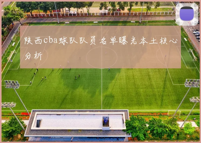 陕西cba球队队员名单曝光本土核心分析